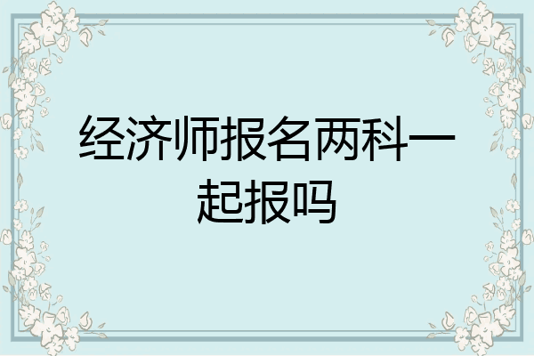 经济师报名两科一起报吗