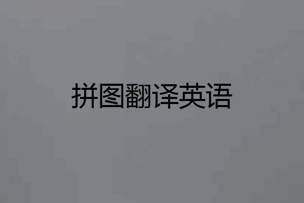 拼图翻译英语