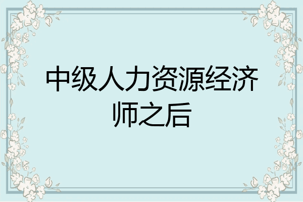 中级人力资源经济师之后