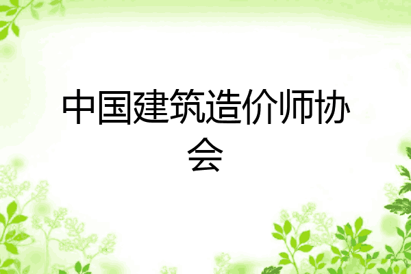 中国建筑造价师协会