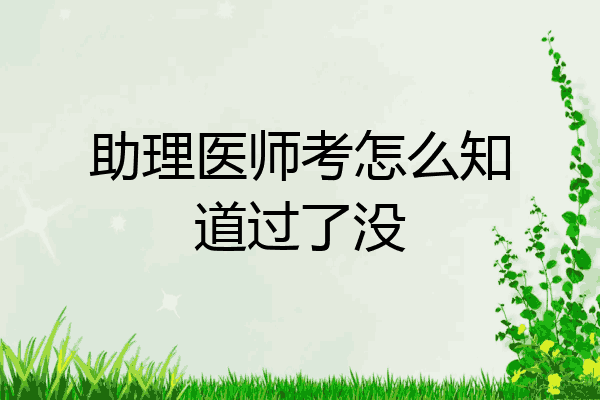 助理医师考怎么知道过了没