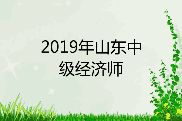 2019年山东中级经济师