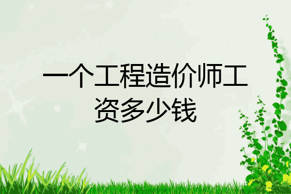 一个工程造价师工资多少钱