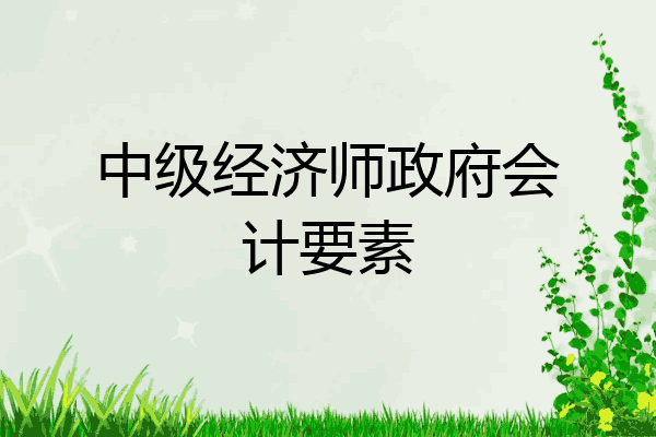 中级经济师政府会计要素