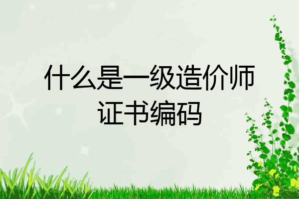 什么是一级造价师证书编码