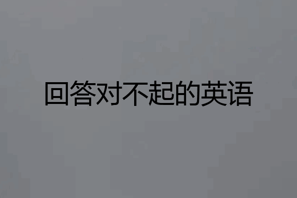 回答对不起的英语