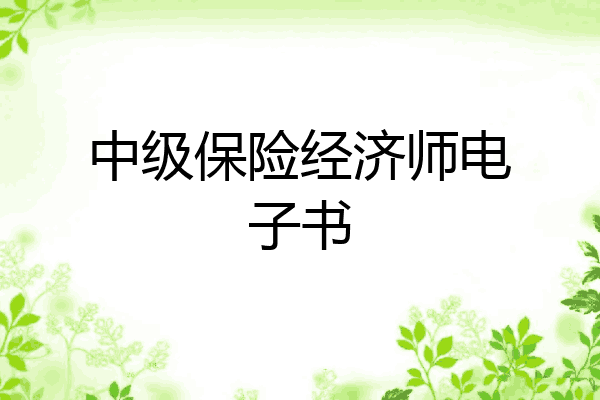 中级保险经济师电子书