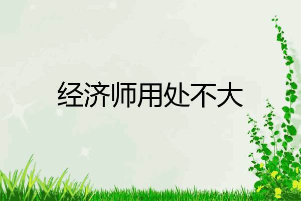 经济师用处不大