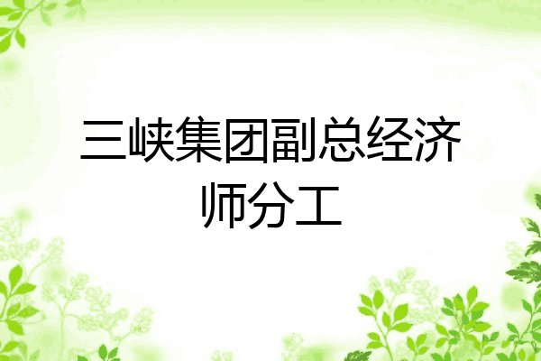 三峡集团副总经济师分工