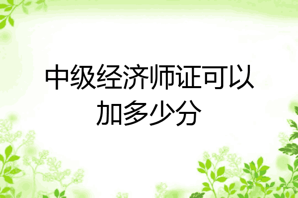 中级经济师证可以加多少分