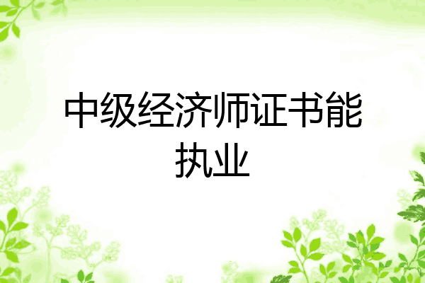 中级经济师证书能执业
