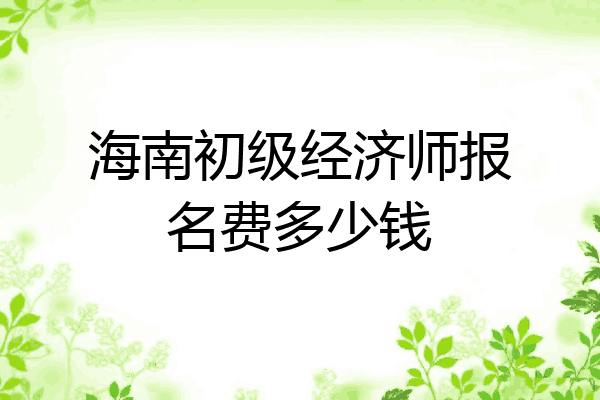 海南初级经济师报名费多少钱