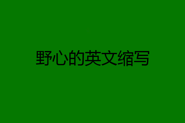 野心的英文缩写