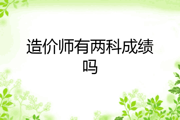 造价师有两科成绩吗