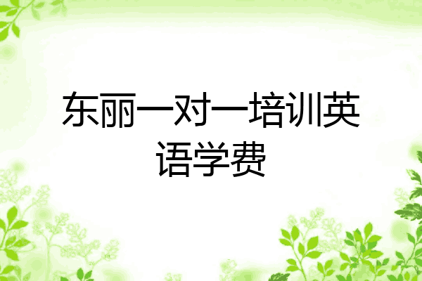 东丽一对一培训英语学费