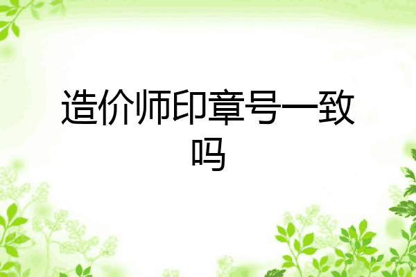 造价师印章号一致吗