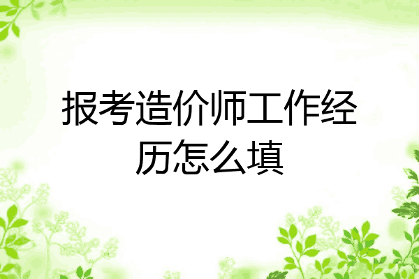 报考造价师工作经历怎么填