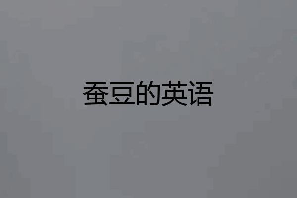 蚕豆的英语