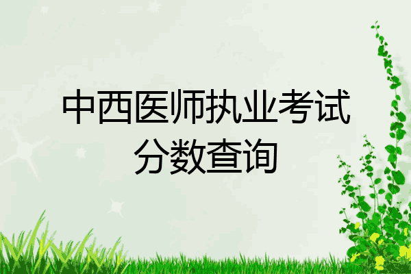 中西医师执业考试分数查询