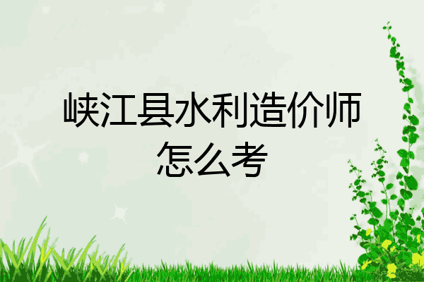 峡江县水利造价师怎么考