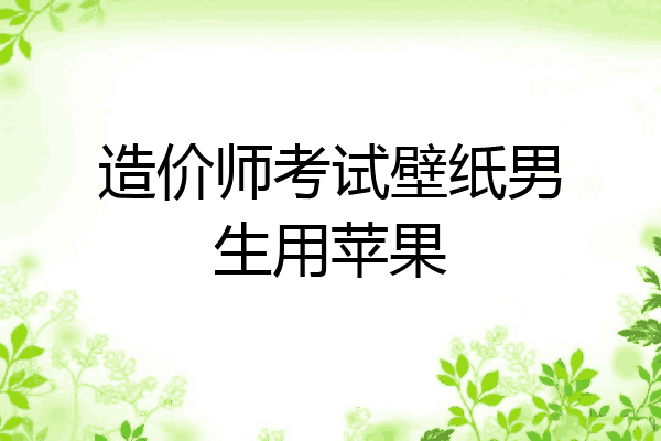 造价师考试壁纸男生用苹果