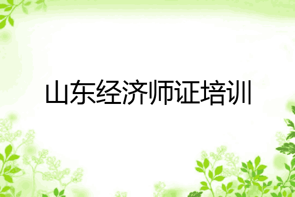 山东经济师证培训