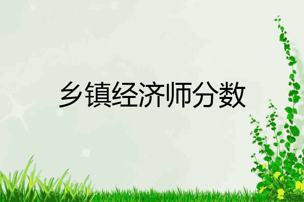 乡镇经济师分数