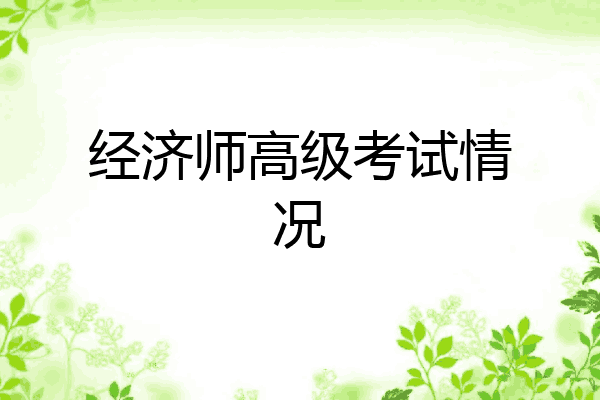 经济师高级考试情况