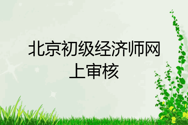 北京初级经济师网上审核