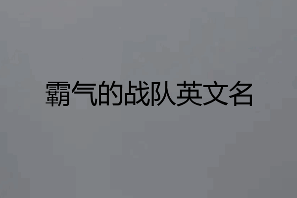 霸气的战队英文名