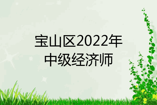 宝山区2022年中级经济师