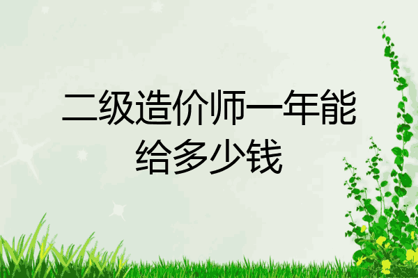 二级造价师一年能给多少钱