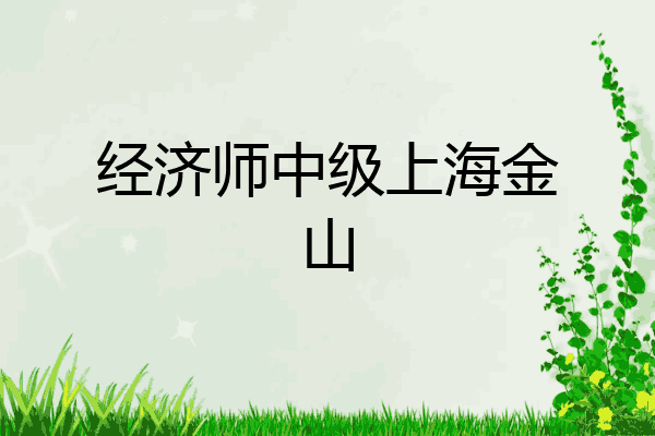 经济师中级上海金山