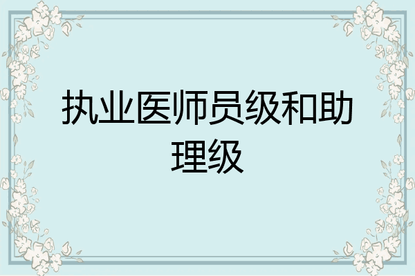 执业医师员级和助理级