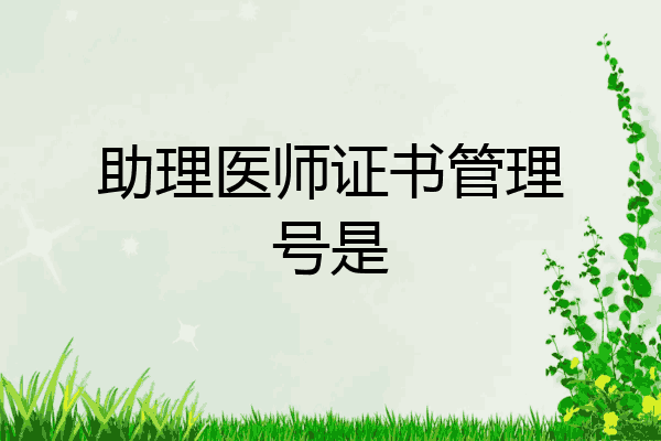 助理医师证书管理号是