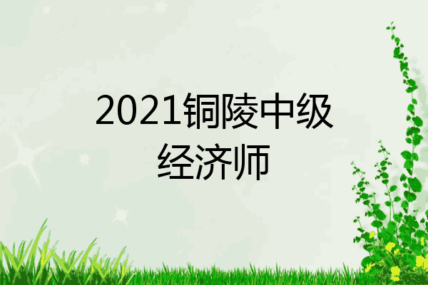2021铜陵中级经济师