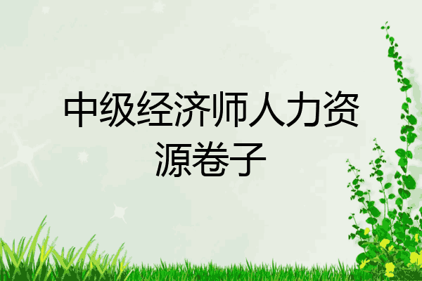 中级经济师人力资源卷子