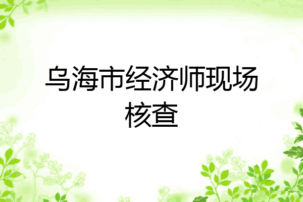 乌海市经济师现场核查