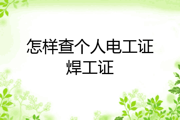 怎样查个人电工证焊工证
