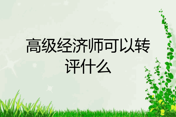 高级经济师可以转评什么