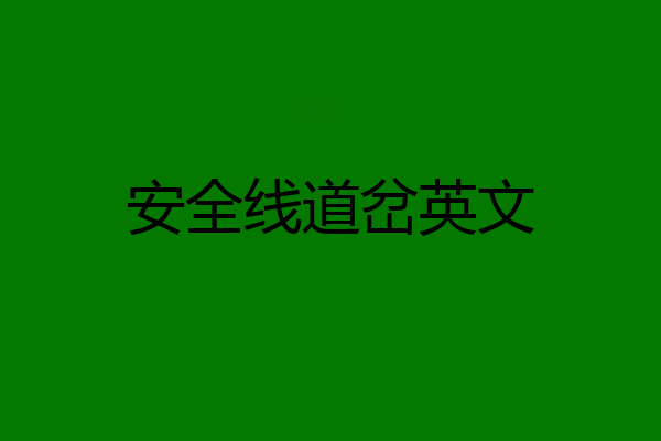 安全线道岔英文