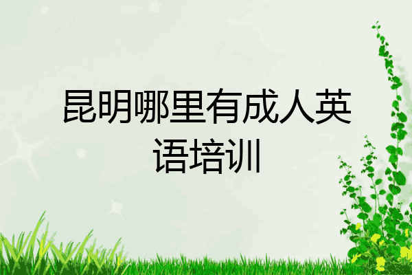 昆明哪里有成人英语培训