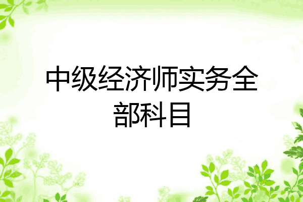 中级经济师实务全部科目