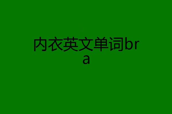内衣英文单词bra