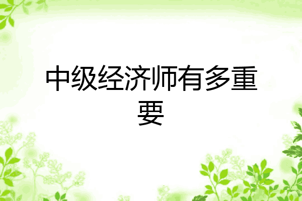 中级经济师有多重要