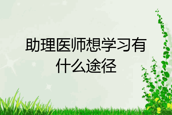 助理医师想学习有什么途径