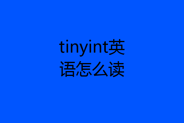 tinyint英语怎么读