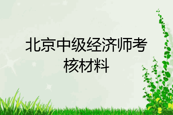 北京中级经济师考核材料