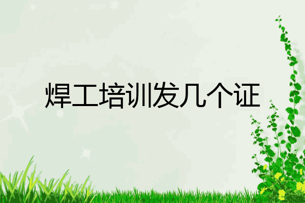 焊工培训发几个证