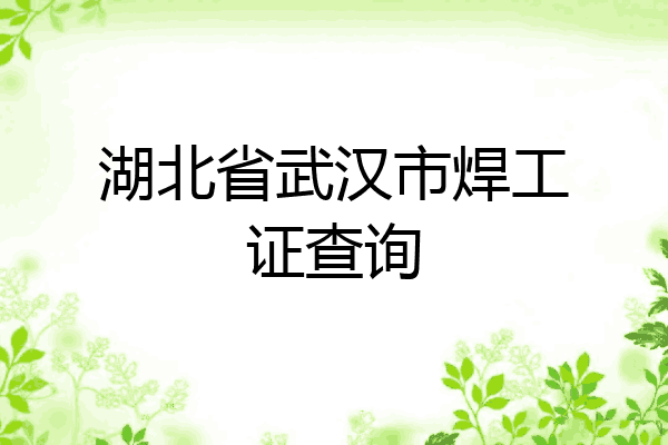 湖北省武汉市焊工证查询